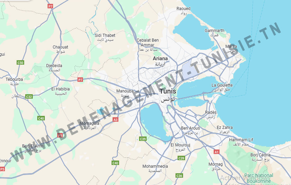 déménagement tunis
