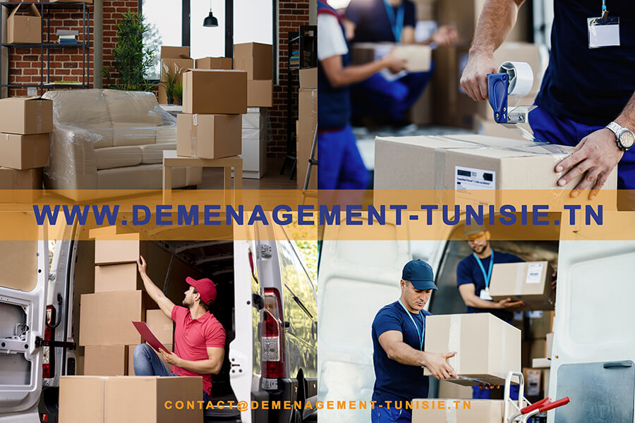 devis demenagement tunisie